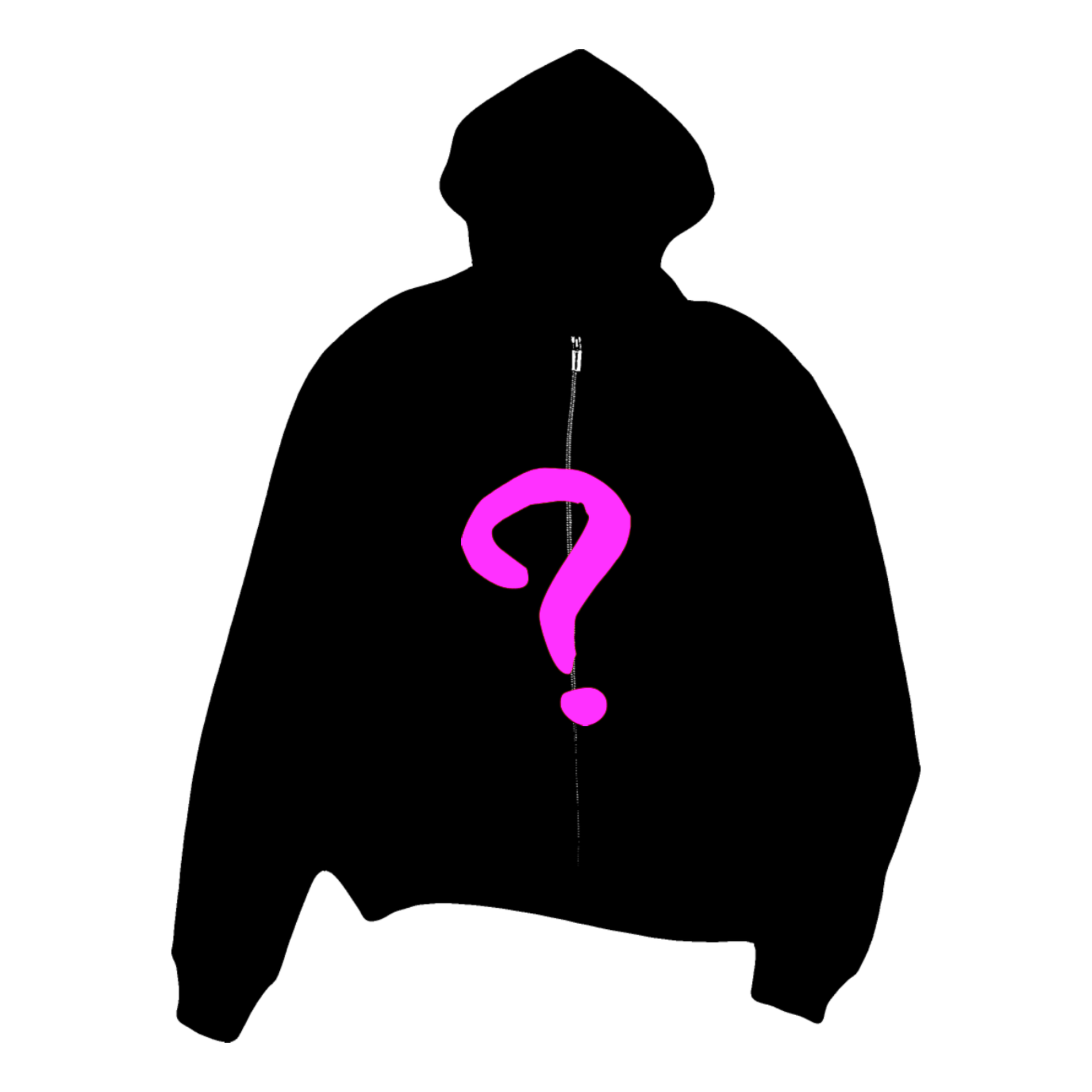 Mystery Zip Up